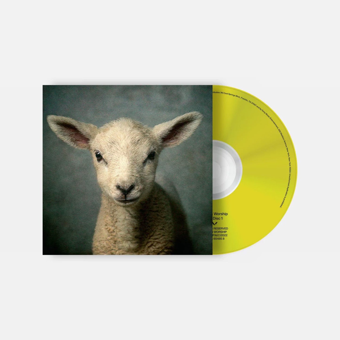 Lion CD
